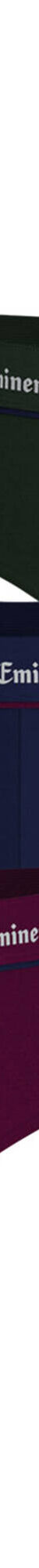 Slip Business Chic - lot de 3 (vert + bordeaux + marine) Slip Business Chic - lot de 3 (vert + bordeaux + marine)